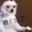 逍九CvC|真的很菜