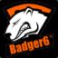 Badger6