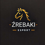 cinek_ŹI_ESPORT.skins.army