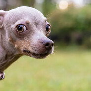 D.T.G - steam id 76561199015559626