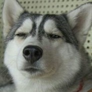 AAA-绍兴布料批发林姐