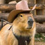 Ram Ranch Cowboy