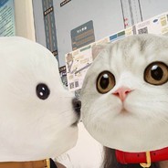 你刘大爷的小仙女