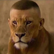 kirsabin - steam id 76561199581838253