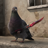SIGEONINI PEXINI