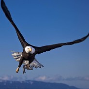 对狙，就白给！