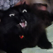 4svkot♡ - steam id 76561198144048385