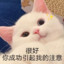 AGL_Roieee已注销