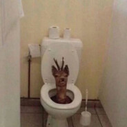 Сашка Перфоратор