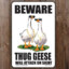 &gt;(*) GOOSE (*)&lt;