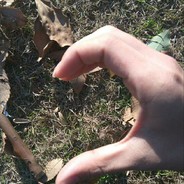 借我六月梅子酒