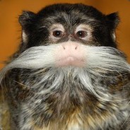 MonkehMaster