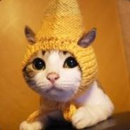 S1nn