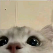 xxenvii - steam id 76561199857938753