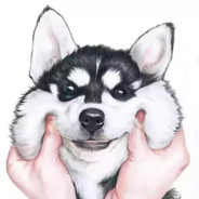 时光纪   Bound丶