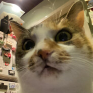 Marcus avatar