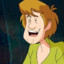 Shaggy