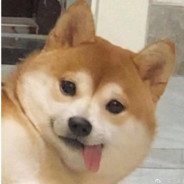 国产区第一猛侽