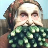 Стерлядь⁴²