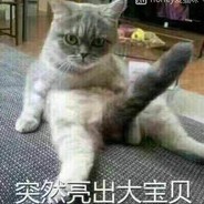 突然亮出大宝贝