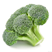 能开枪已经开智了