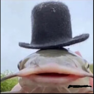 mr fish >TP<