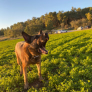 Call Me xCr4zyblof [: