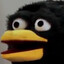 Errol
