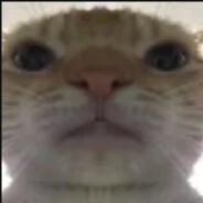 丁