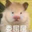 我是鼠鼠呀！