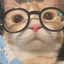 El Gato