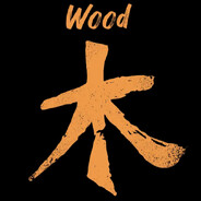 電腦玩家特朗普