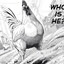 The Rooster