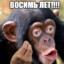 8летДомбилБомбас