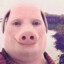 John Pork