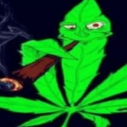 333 avatar