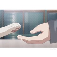 欲擒故纵橘子鱼AOFU