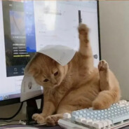 重生之我在沙二当皇帝