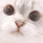 eeeeee