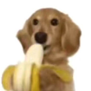 岸時洄雨落霧巷 杳杳雪