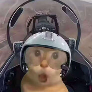 哈基米哟南北绿豆