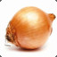 oignon
