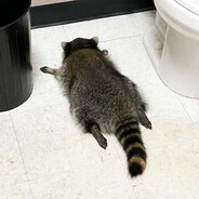 CroppedPocket (RIP PC)