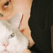 你如白马踏京城