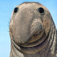 Häkkinen - steam id 76561198390125326