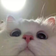 想要成为明日方舟糕手