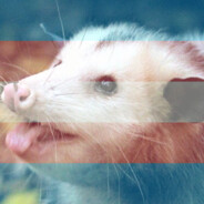 Panic Opossum (She/They)