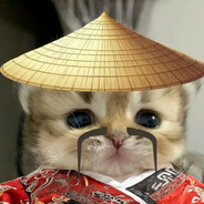 Sensei Meowscles Wu