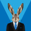 SuitRabbit