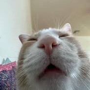 ILIKEDINONUGGETS